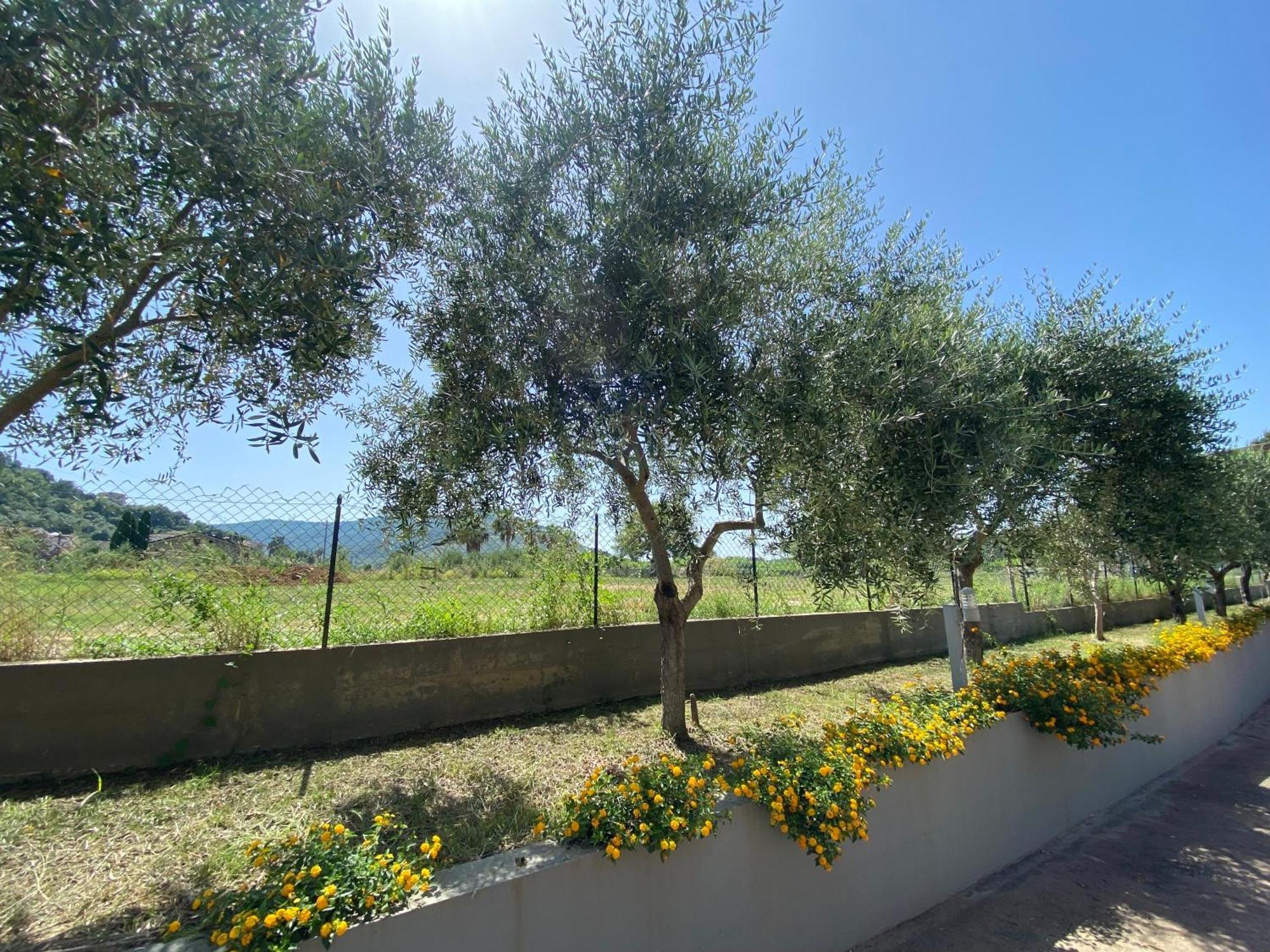 Miro' Agropoli Bed & Breakfast Екстериор снимка