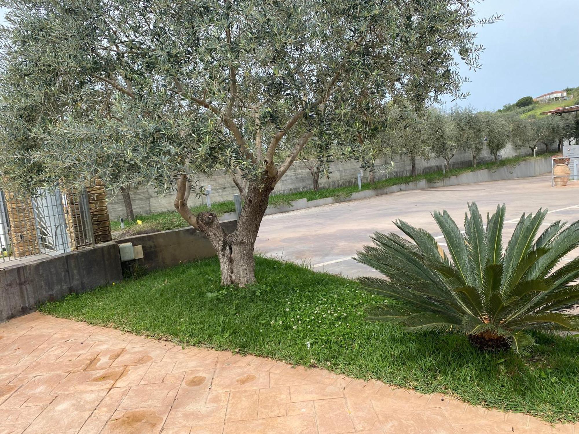 Miro' Agropoli Bed & Breakfast Екстериор снимка