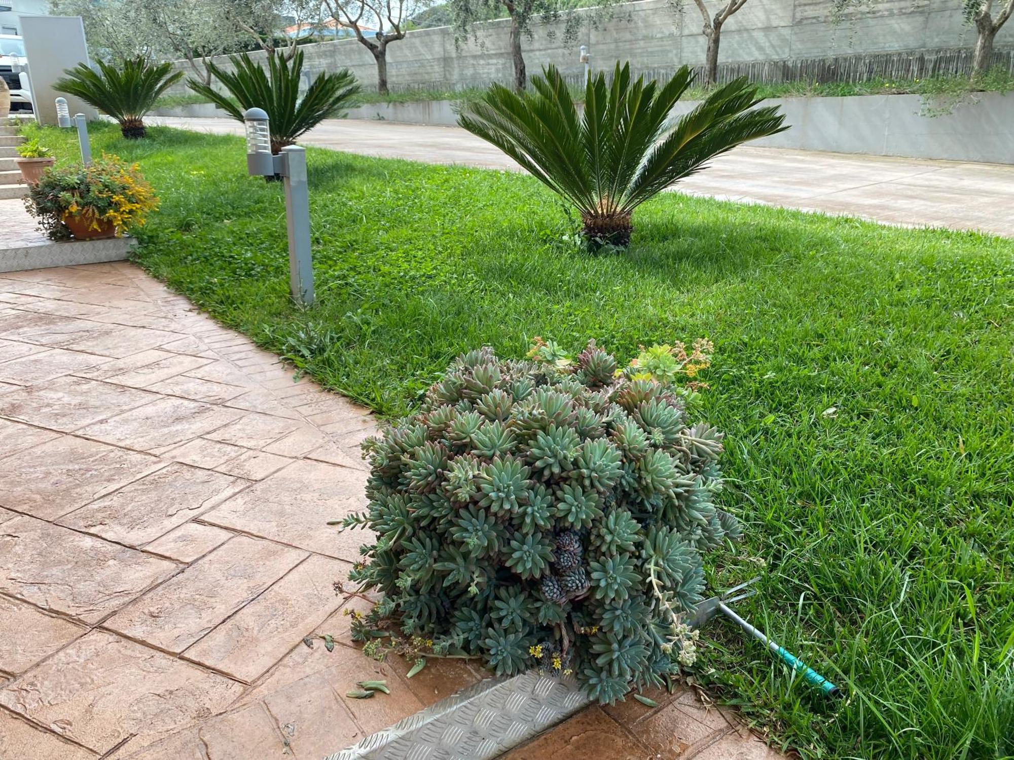 Miro' Agropoli Bed & Breakfast Екстериор снимка