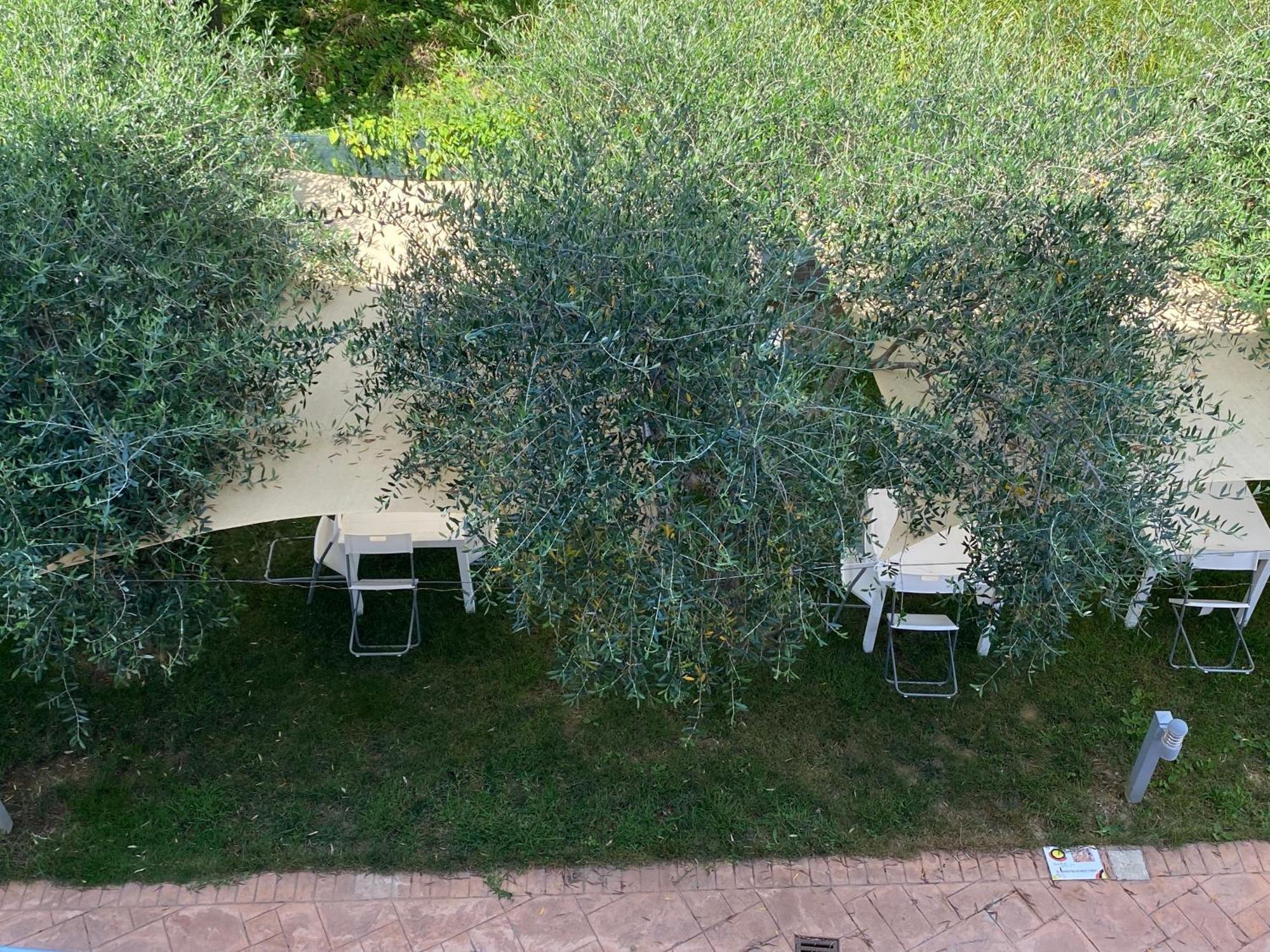 Miro' Agropoli Bed & Breakfast Екстериор снимка