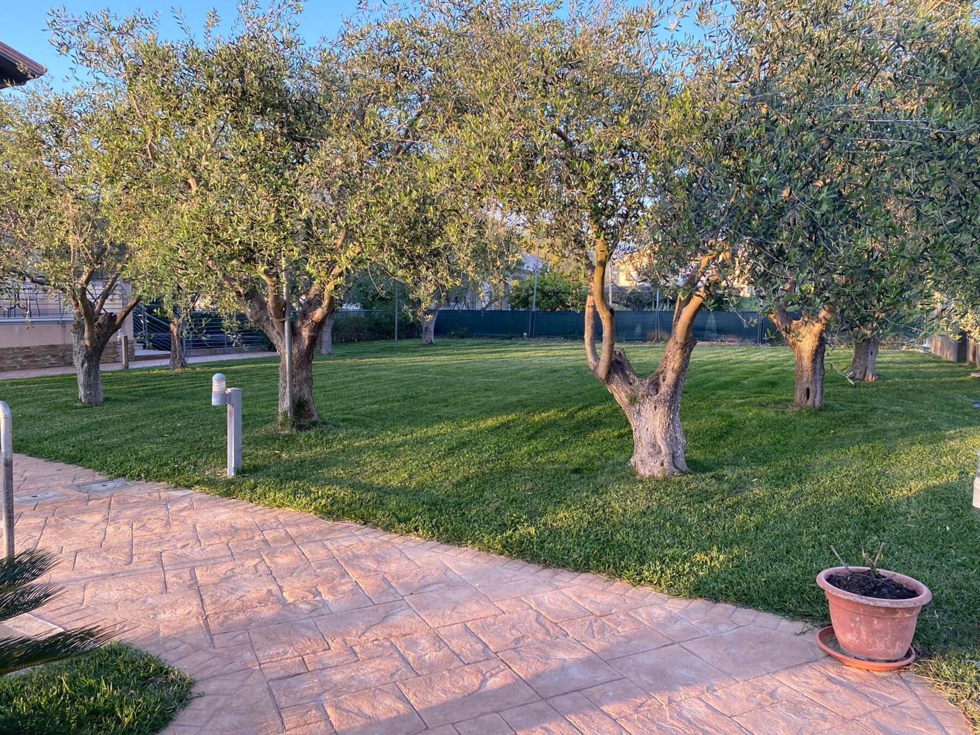 Miro' Agropoli Bed & Breakfast Екстериор снимка